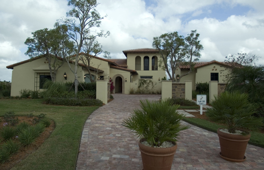 Elevation